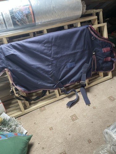4ft 50g turnout - ponie, rug