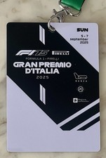 MAX VERSTAPPEN Fastest F1 Race