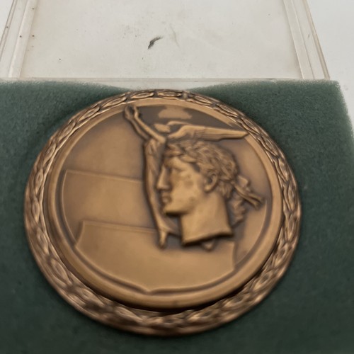 Sports medal ncl - medal, winner
