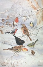 Winter birds cotton tea towel