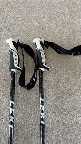 Leki titanium ski - titanium,