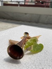 TRUMPET New Top Great STUDENTS