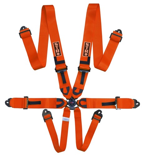 Burnt orange point - 6-point, race