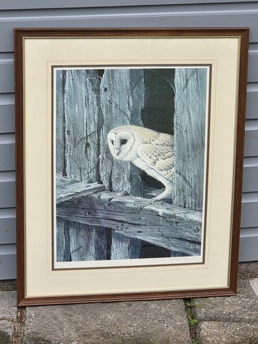 Large framed barn - owl, print