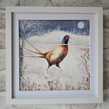 Pheasant Game Bird Watercolour
