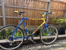 Vintage Raleigh Mountain Bike