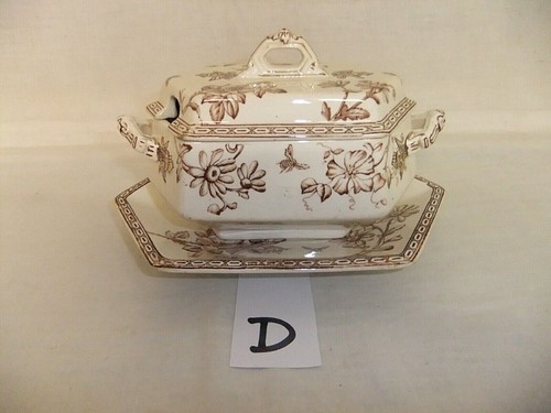 Wedgwood clematis brown ivory - wedgwood,