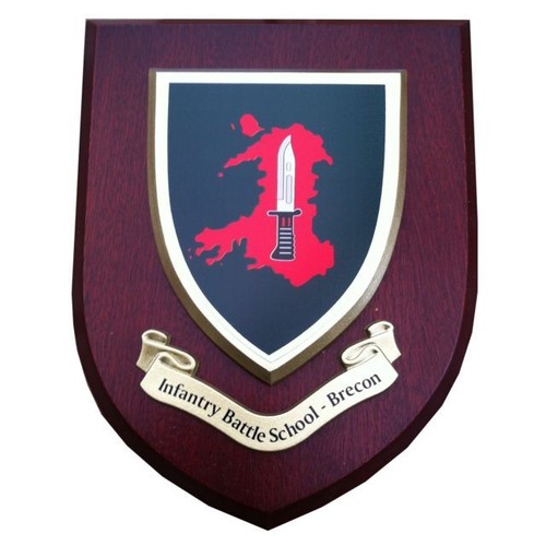 Ibs infantry battle - infantry, school