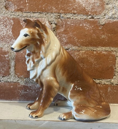 Collie vintage goldcrest - collie,