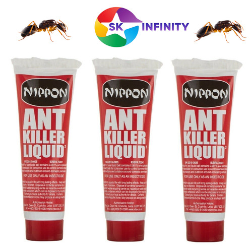 Nippon ant insect - ant,