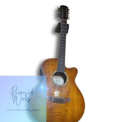 Aria string - aria, 12-string