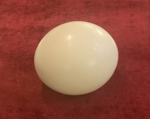 Ostrich egg blown - egg,