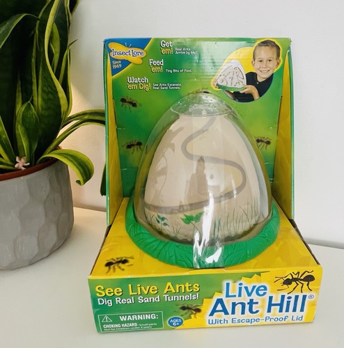 Ant insect house tunnel brand - ant,