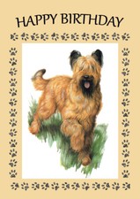 BRIARD GREAT BIRTHDAY