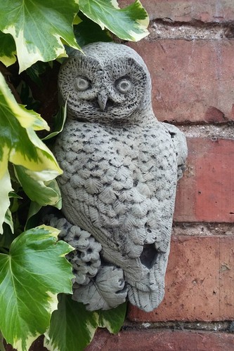 Stone garden owl bird - garden,