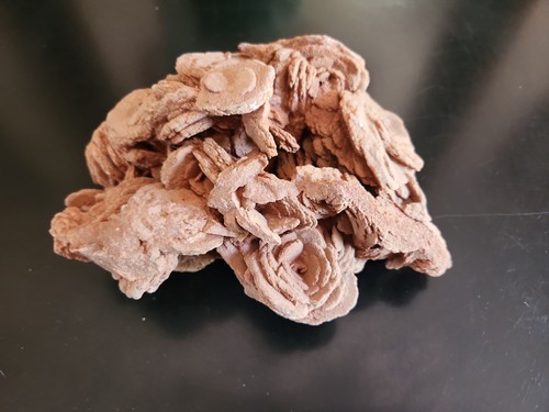 Desert rose cluster - rose,