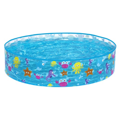 Sea creature paddling - sea,