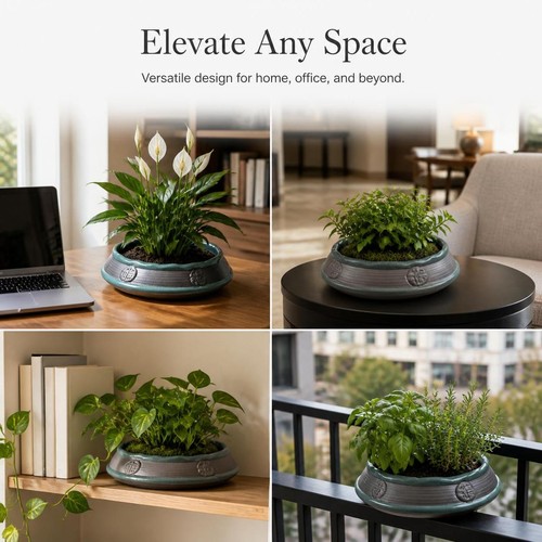 Ceramic flower pot for - ceramic,
