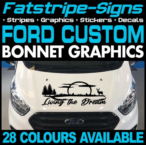 Fits ford custom - fits, graphics