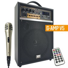 300W Rechargeable Guitar