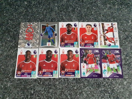 Panini premier league stickers - panini,
