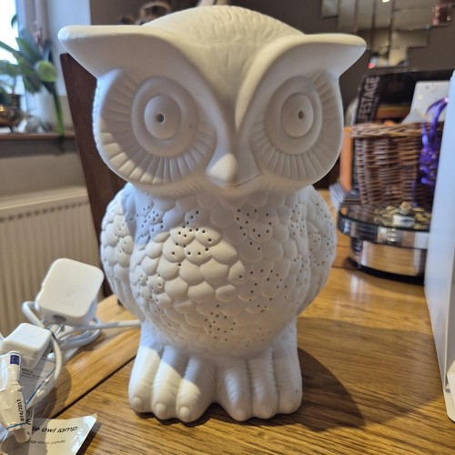 Ceramic owl lamp gives - owl, lamp.