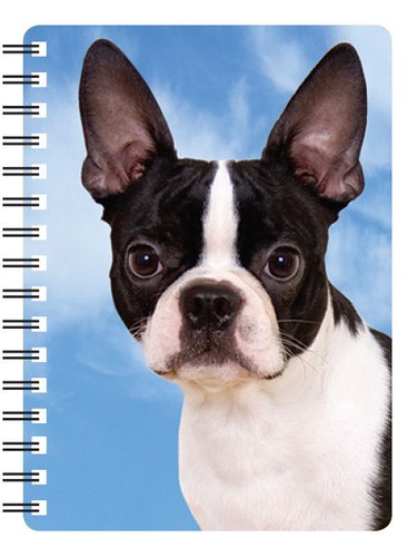 Boston terrier notebook - terrier, 3d