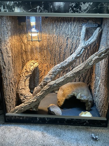 Vivarium