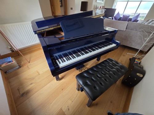 Yamaha conservatory grand - conservatory,