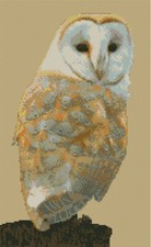 Barn Owl 4 Counted Cross