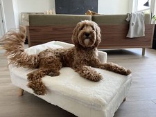 Large Pet Sofa Bed Cat Dog
