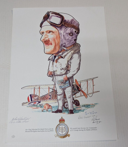Cartoon air chief marshal - cartoon,