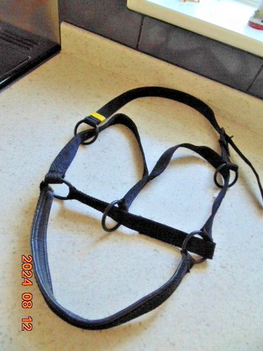 Dsh equine equipment - equine,