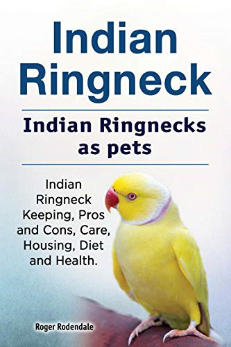 Indian ringneck - ringneck.,