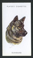 ELKHOUND PLAYERS DOG HEADS SERIES by BIEGEL UNISSUED CIGARETTE CARD #11
