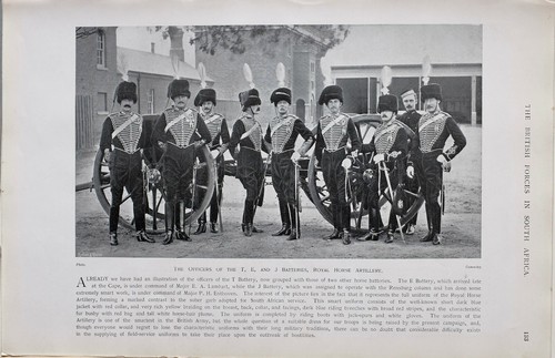 1900 boer war print officers - print,