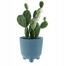 Plant Pots Indoor Outdoor