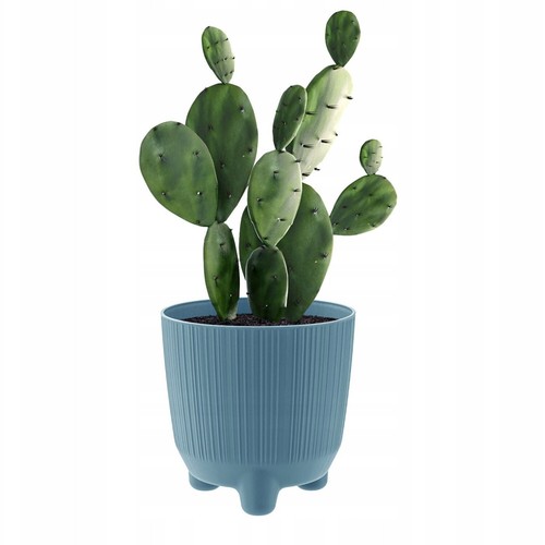 Plant pots indoor - plant, outdoor