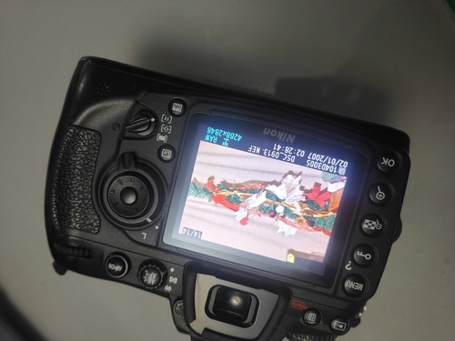 Nikon d300s 3mp digital - nikon, slr