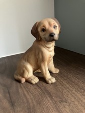 Exquisite Adorable Finest