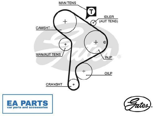 Timing belt for cabrio - timing,