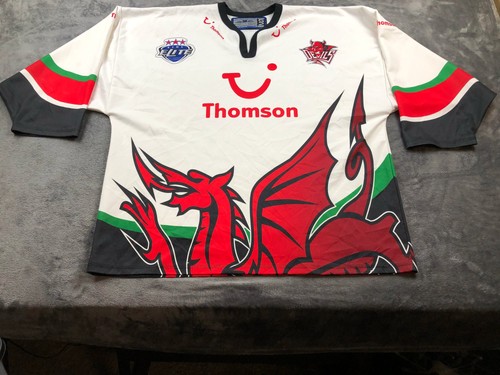 Cardiff devils ice hockey - cardiff,
