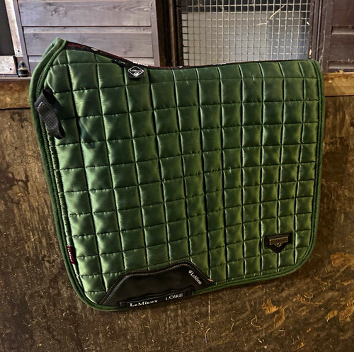 Lemieux loire dressage - loire,