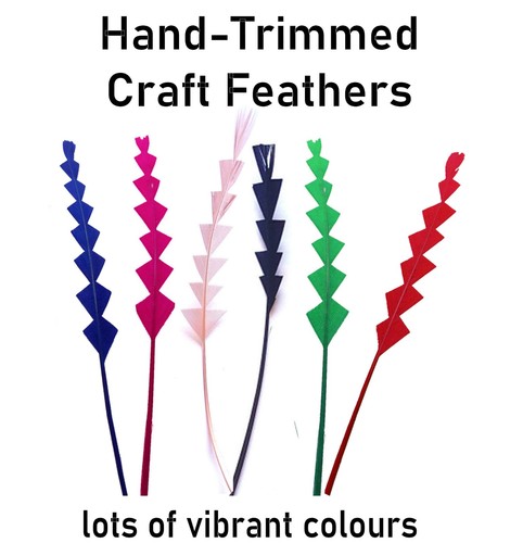 Zig zag trimmed craft - craft, feathers