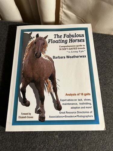 The fabulous floating horses - the,