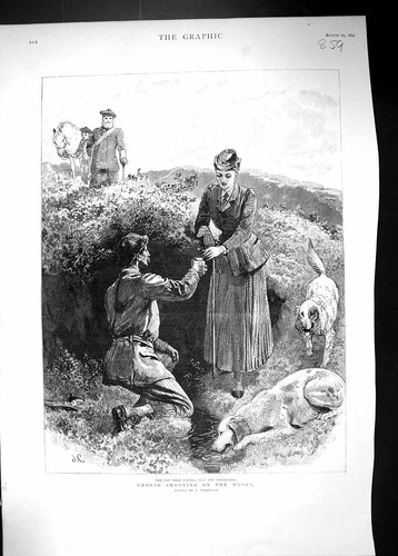 Antique old print - print, grouse