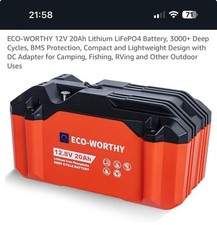 12V 20Ah 30Ah 50Ah 100Ah Lithium LiFePO4 Battery 3000+ Deep Cycles Solar Charger