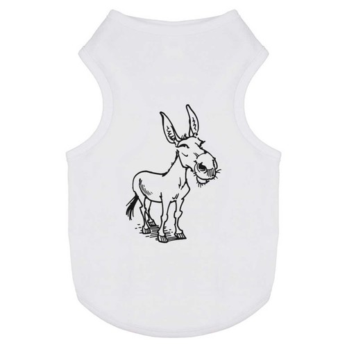 Donkey pet dog cat - pet,