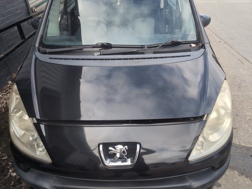 Peugeot 1007 black bonnet