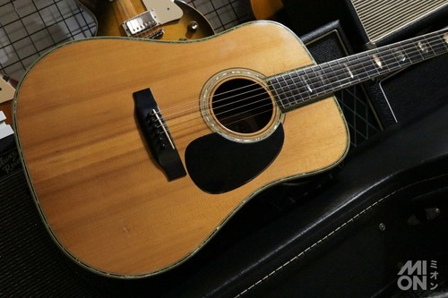 Morris 100 used - morris, acoustic